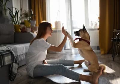 Asilo diurno per cani